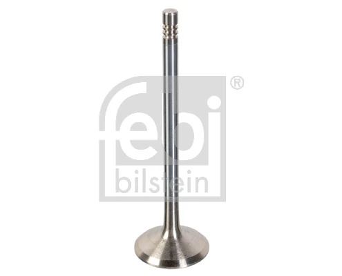 Intake Valve
